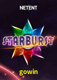 Premium Interface gowin